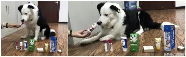 足部养生手法,足部保健有哪些问题