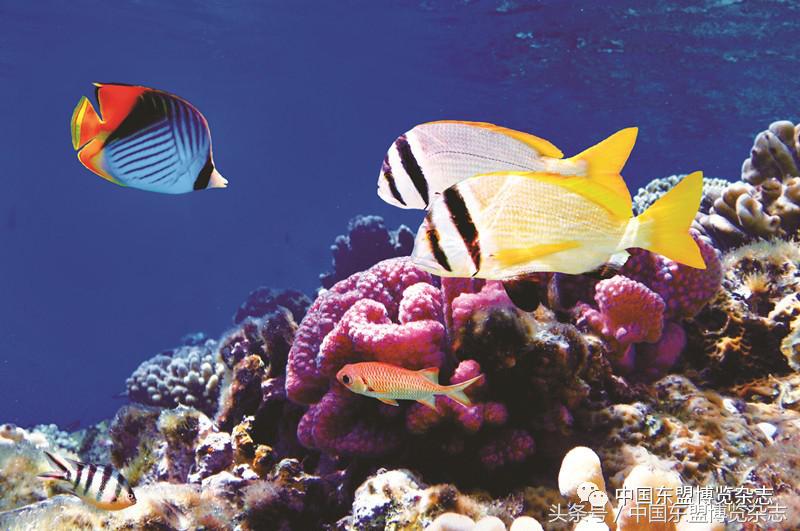 广西北海旅游攻略穷游,游北海银滩景点游览图