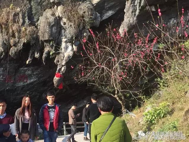 国庆怀集接待游客人次,怀集2029年旅游接待人数