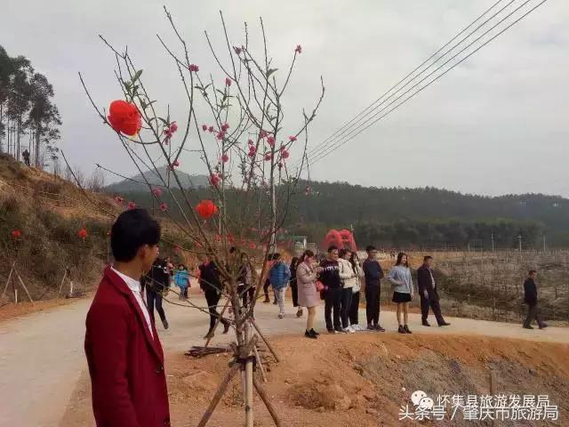 国庆怀集接待游客人次,怀集2029年旅游接待人数