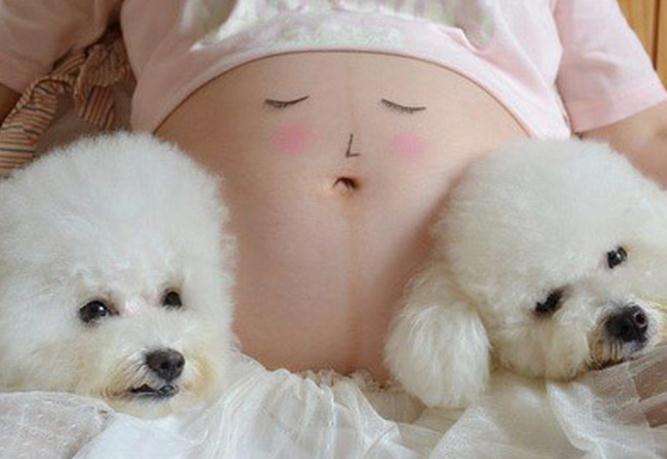 怀孕和宠物接触对胎儿有影响吗,家里有宠物怀孕后有影响吗