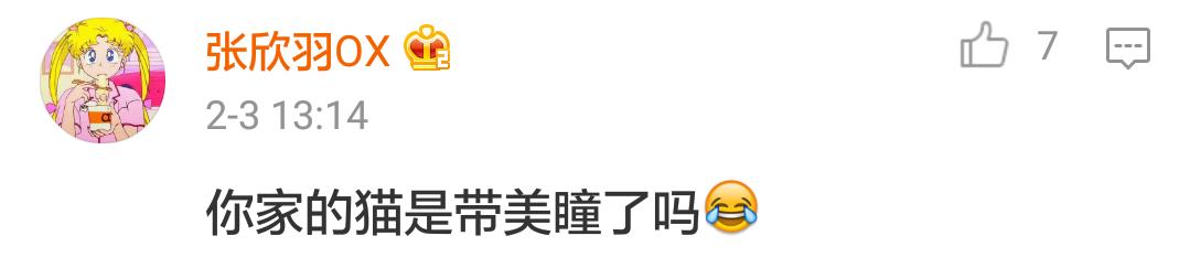 范冰冰微博被猫抢镜 (范冰冰有没有带美瞳)