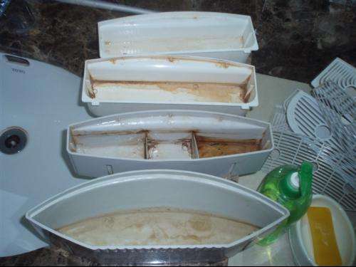 饮水机长时间不清理到底有多脏,饮水器长期不用用清洗内部吗