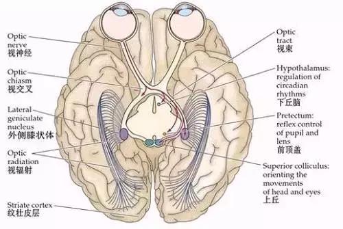 PlosBiology影响因子,plosbiology值得看吗