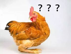 专访｜澳洲超美辣妈的保养教育之道，当了妈妈反而要更爱自己！