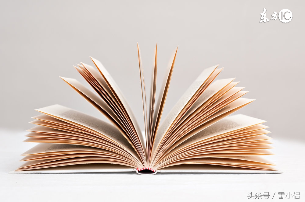 当下的创业商机,当下创业的风口