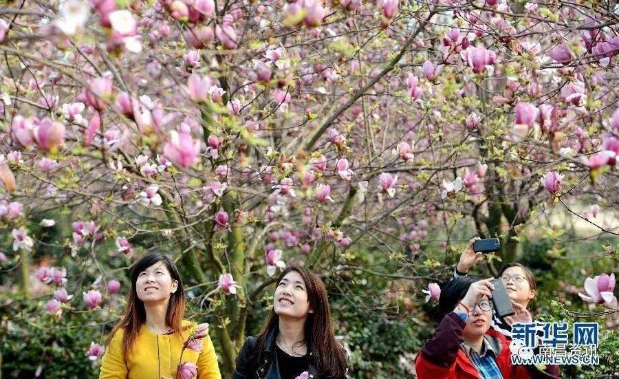 南昌出发最便宜的飞机票,南昌出发到哪里的机票最便宜