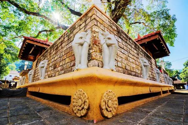 遇见斯里兰卡自由行：狮子国奇遇记