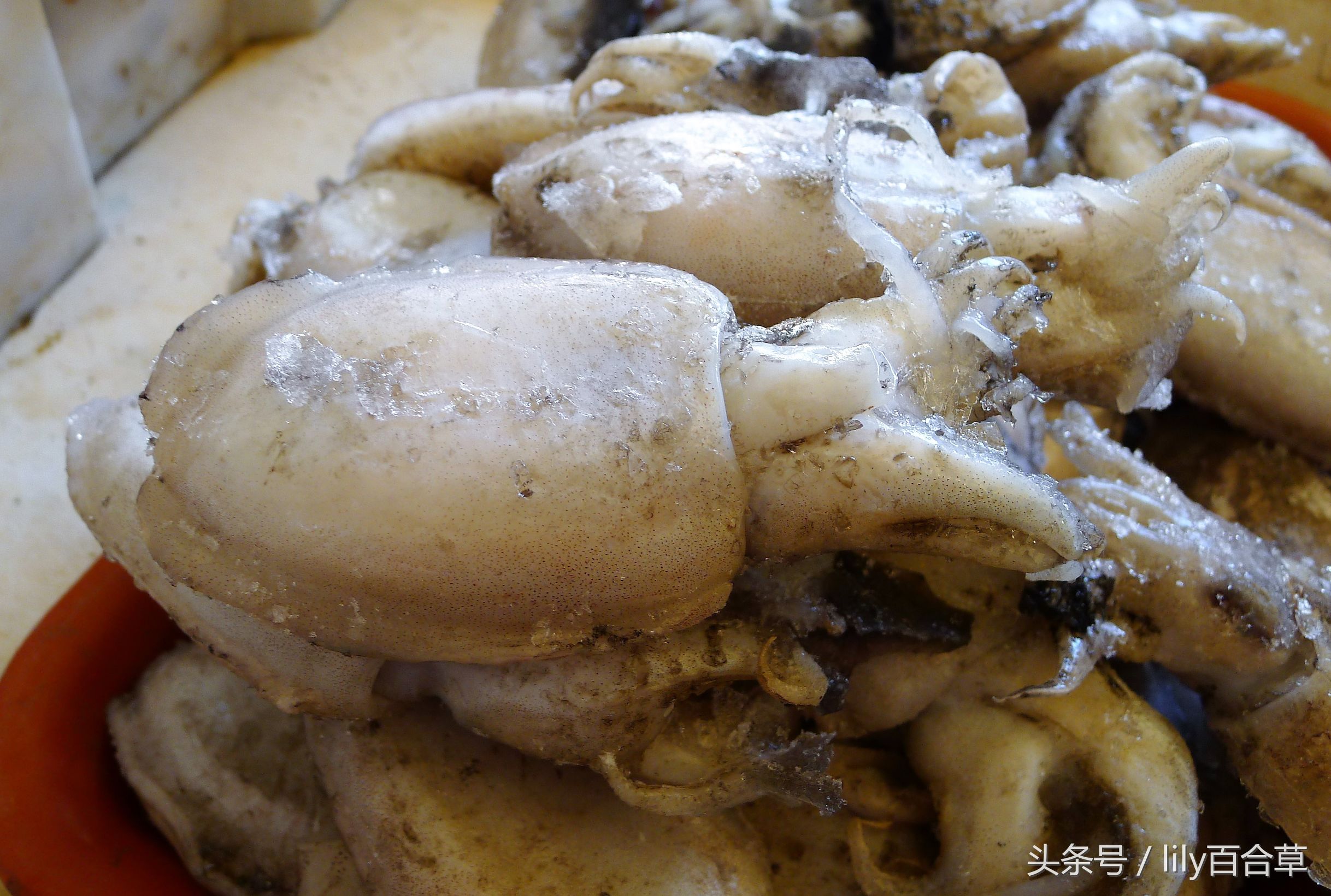 哪些海鲜可以带回家,回家路上可以带海鲜吗