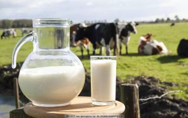 五大行动学习要求,五大行为训练