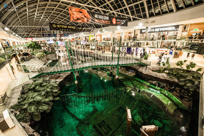 买买买真的是让人开心的事,买买买让人心情愉悦