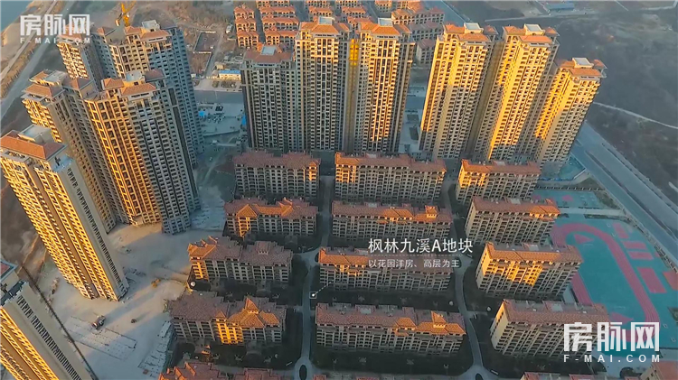 閱夌編鏋灄鍥剧墖,閱夌編鏋灄鍥剧墖澶у叏