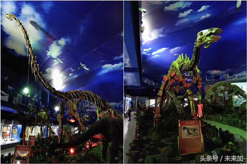 不同版本诺基亚,不同版本的诺基亚