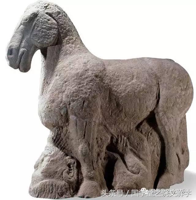 为啥胡须叫胡子,为什么胡萝卜会长胡子