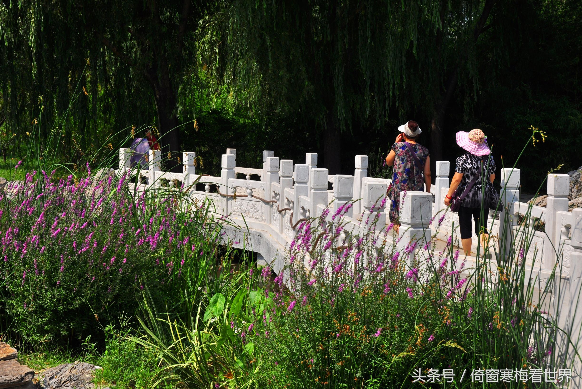 以莲花为名的景点,北京莲花池公园里有莲花亭吗