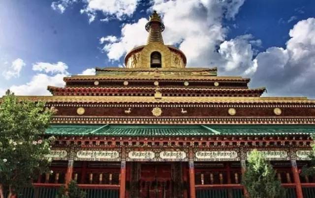 *藏西**魔女图：教你认识不一样的*藏西**