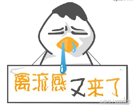 预防禽流感最好的办法,避免禽流感的方法