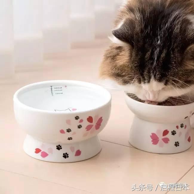 粉色预警信号,国誉日本樱花限定