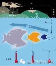 有人告诉你孕期不能吃什么,孕期到底要不要吃虾