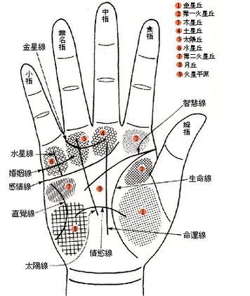 五观堂讲解手相,手相宝库第四讲