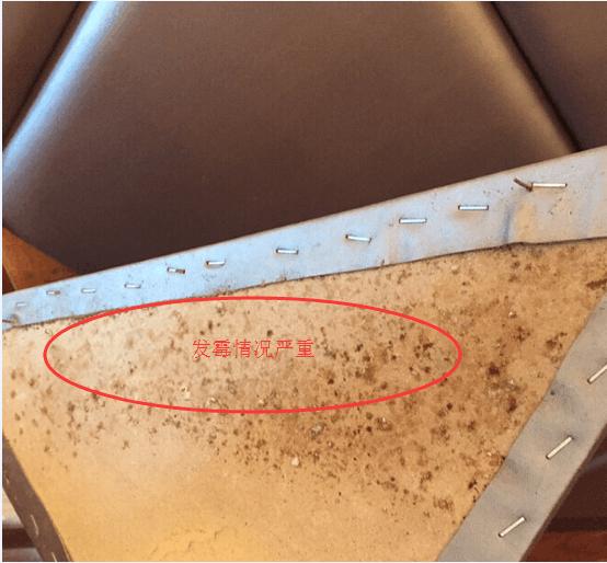 软包背景墙里面发霉怎么办,软包背景墙生虫子了怎么办