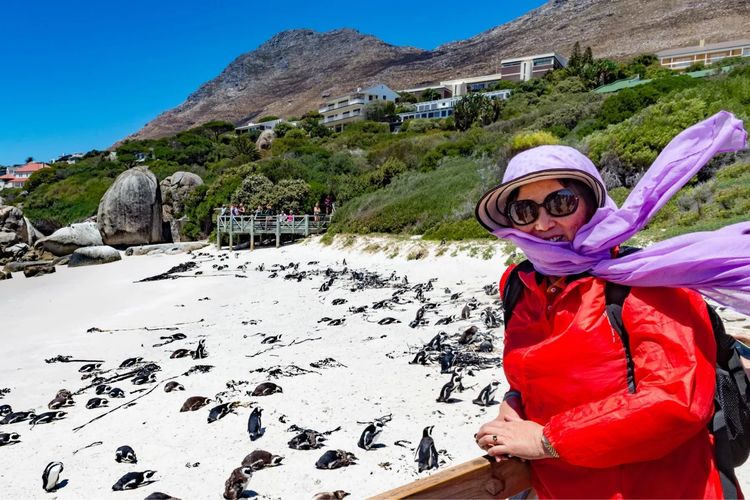 走进彩虹之国感受南非独特之美,彩虹之国南非