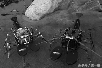 在眼镜被发明之前眼镜蛇叫什么呢,眼镜没发明出来前眼镜蛇叫什么