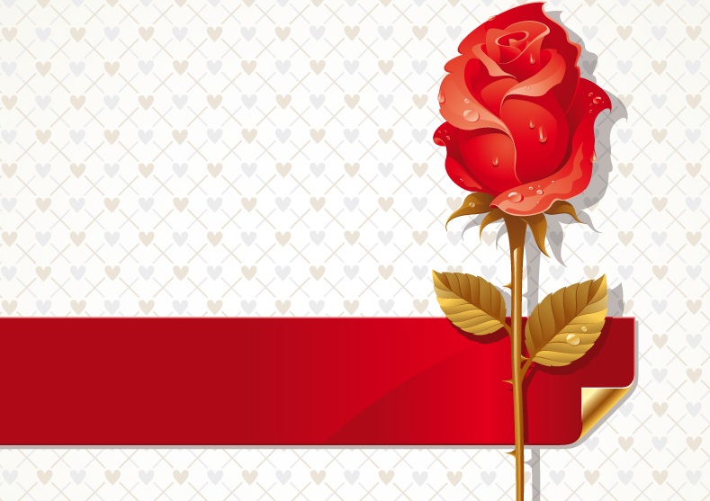 前胸颈后刮痧的正确方法,前胸和肚子的刮痧手法