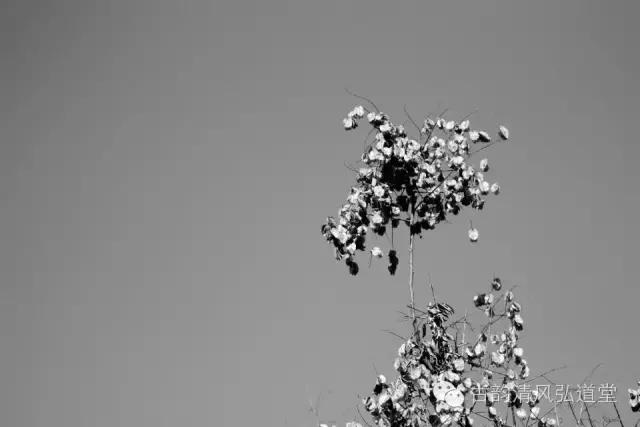 静在自然中,静悟人生真谛