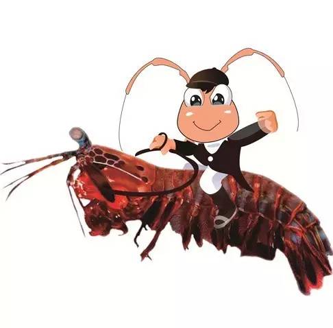 皮皮虾，我们走，为我们的车主保养去！