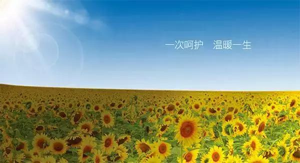 暖宫瑜伽怎么练,暖宫保养瑜伽