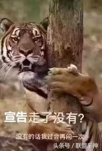 姝讳骸瀹ｅ憡涓哄暐杩欎箞鑳芥墦,姝讳骸瀹ｅ憡50婊磋缈荤洏