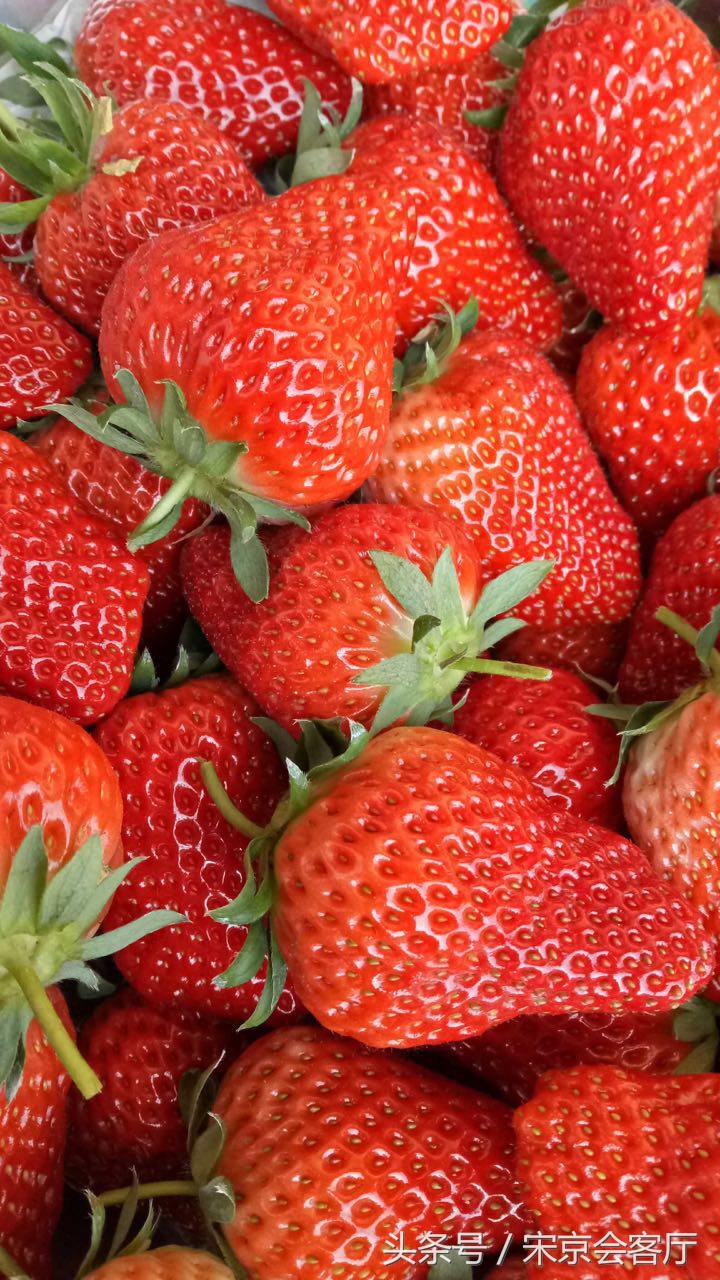 关于草莓的那些事,关于草莓的3个真相