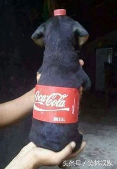 今日笑了么:男子踩哭熟睡中的孩子,居然还那么理直气壮!