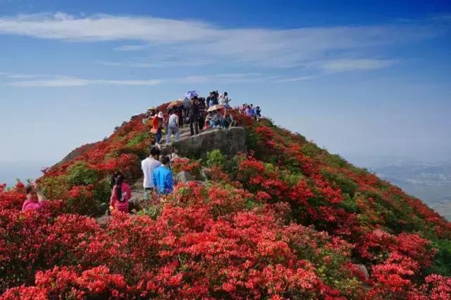 贵州各个县产值排名,贵州各县区生产总值