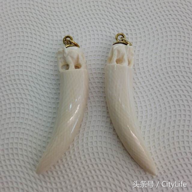 泰国芭堤雅东芭乐园,泰国芭提雅东芭公园