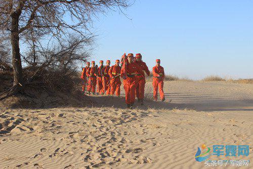 战前沿精兵护生态育忠魂情洒大青沟