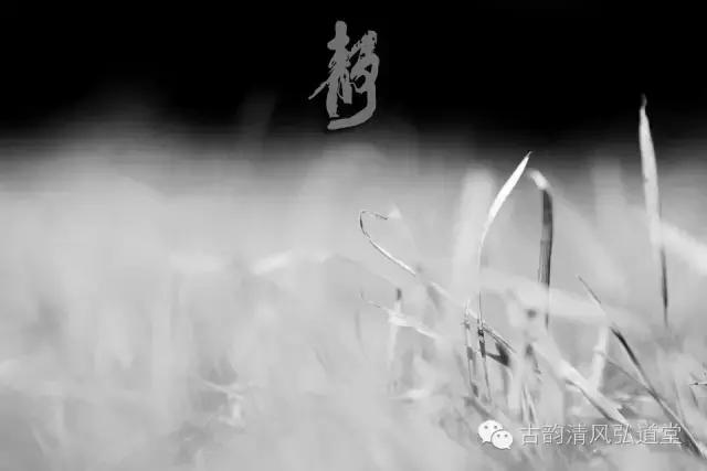 静在自然中,静悟人生真谛