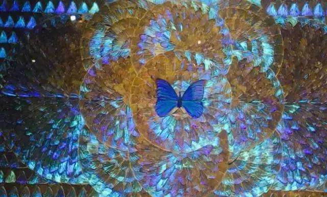 上海各条地铁线沿途景点大全,上海最惊艳的地铁路线