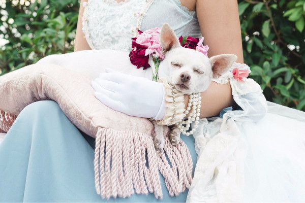 三个一无所有的女人，用以物换物和手工制作的方式再造绝代艳后！