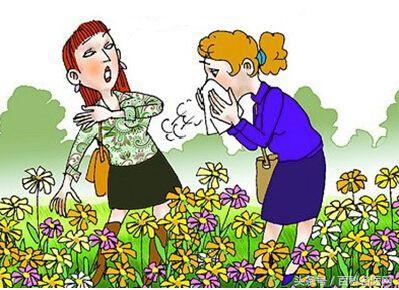 喝菊花茶有什么禁忌,喝菊花茶之后有什么禁忌