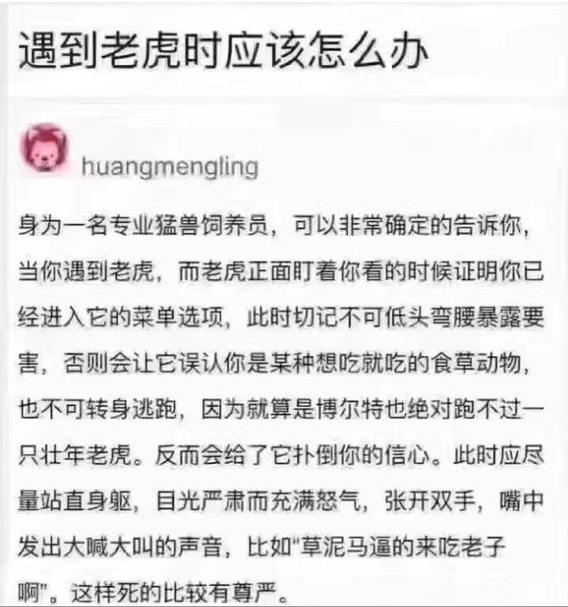 遇到老虎怎么办搞笑段子,动物遇到老虎的搞笑时刻