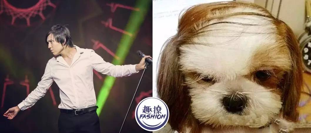 拯救进口小哥迪玛希，我想要他的同款高发际线！