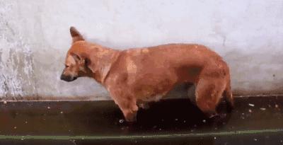 高情商逗男朋友开心的小笑话,哄女生开心100个笑话幽默