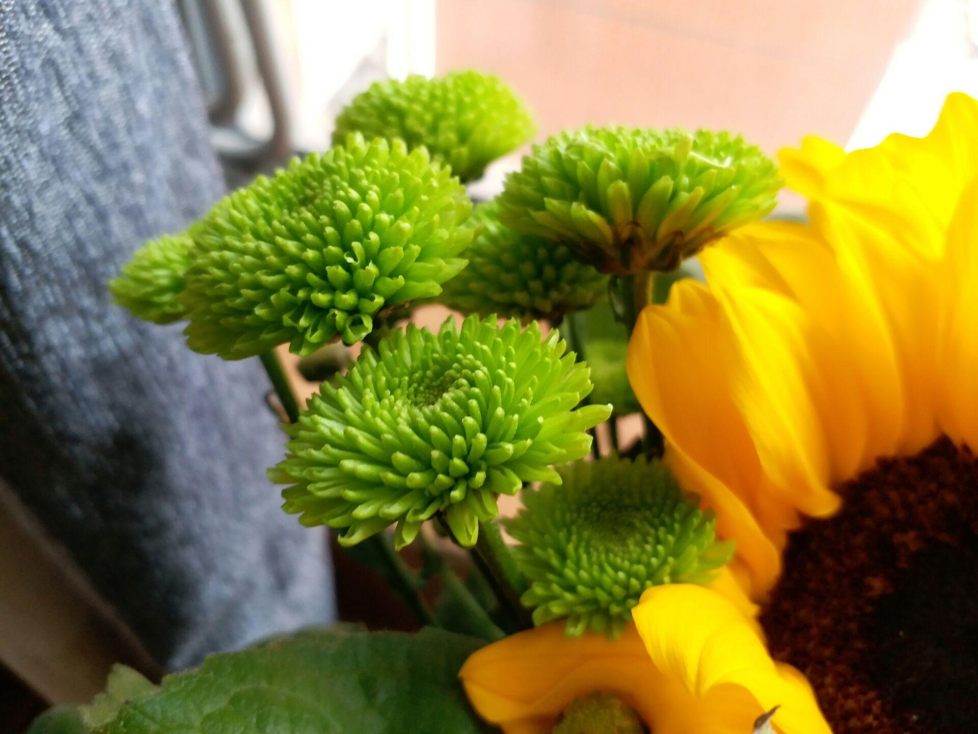 除了颜值高轻薄还有啥？三星C7Pro一周体验告诉你