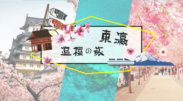 樱花短途旅行包大容量,樱花三月去踏青加长版