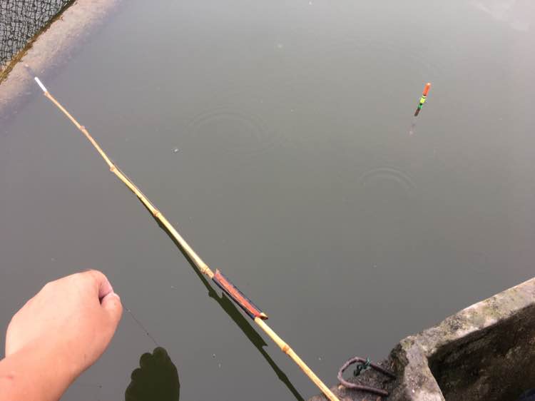 最大钓七八斤的鱼用什么竿子,5.4溪流竿能钓几斤的鱼