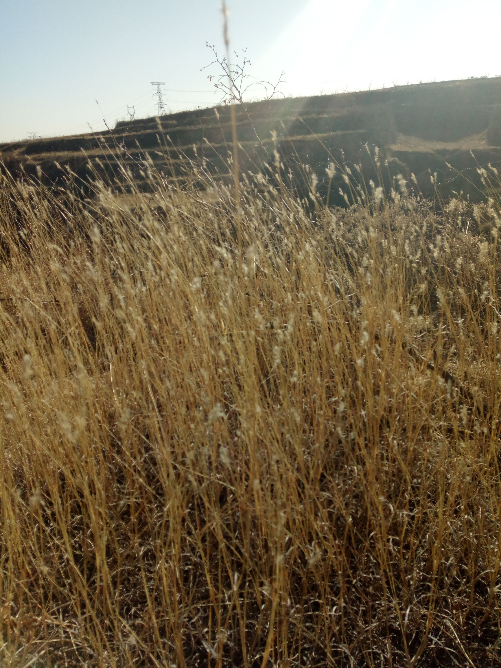 天涯约稿—任补厚诗两首—太科大天涯文学社