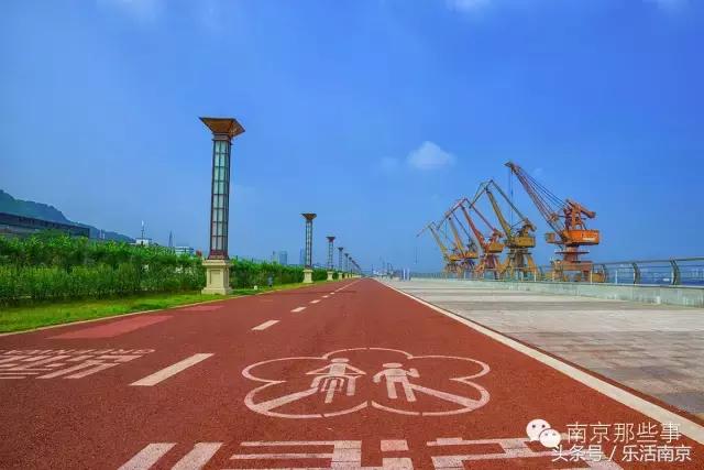 南京踏青赏梅乐享春光,赏梅园