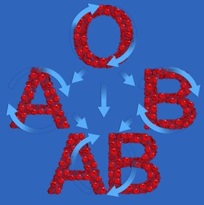 新生儿abo溶血能治愈吗,abo溶血可以提前干预吗